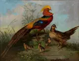 A. Hestebern, Fazant met kuiken, olieverf op doek