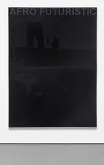 Adam Pendleton, Afro Futuristic (Top Type), 2006, silkscreen on canvas, in 2 parts
