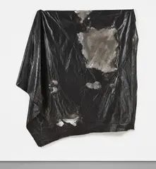 David Hammons, Untitled, mixed media