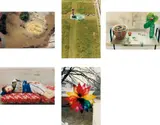 Wolfgang Tillmans, Five works: (i) playground, Luxembourg ; (ii) charterhouse ; (iii) still life, Herold Street ; (iv) Volker, lying ; (v) Weihnachtsstern