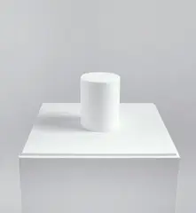 Untitled by Tom Friedman, 1990, toilet paper, sold May 2019