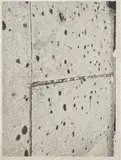 Adam McEwen, Untitled, 2013, inkjet print on cellulose sponge
