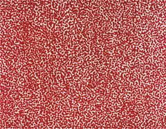 Piotr Uklański, Untitled (Bloody Mary), 2012, ink and gesso on canvas