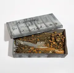Aurora by Anselm Kiefer, 2016, lead box, lead submarine and dried flowers, offered Sep 2019