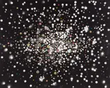 Fred Tomaselli, Slow Riot, 2006, photo-collage and gouache on unique photogram