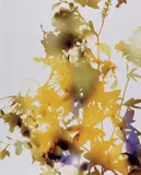 James Welling, 009, 2006, Chromogenic print, flush-mounted