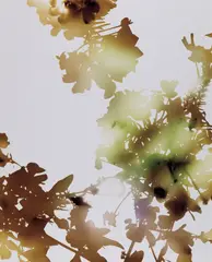 013 by James Welling, 2006, chromogenic print, mounted to Plexiglas, sold Sep 2019
