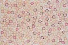 O Room by Ross Bleckner, 2001, oil on linen, sold Nov 2019