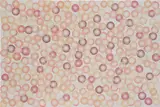 Ross Bleckner, O Room