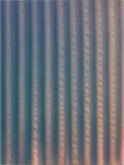 Tauba Auerbach, Corrugation I, 2011, acrylic on canvas