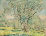 Frederick Carl Frieseke, Olive trees, View of Cagnes: A two-sided work