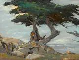 Si Chen Yuan, Coastal cypress