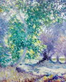 William Clapp, Trees on a river bank