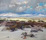 John Frost, Blooming desert with billowing clouds
