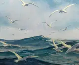 Joe Duncan Gleason, Gulls