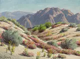 Paul A. Grimm, Desert Verbena