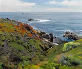 W. Jason Situ, Corner of the sea, oil on canvas