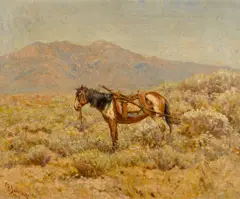 Frank Paul Sauerwein, Indian horse with a travois, 1906, oil on canvas