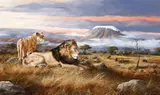 Trevor V. Swanson, Lions overlooking the plains, oil on canvas