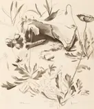 Peter Blume, Landscape and Poppies, 1938, charcoal on paper