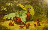 Arthur Fitzwilliam Tait, Quail and Young