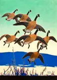 Lynn Bogue Hunt, Canadian Geese, oil on canvasboard