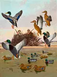 Lynn Bogue Hunt, Hunting on the Missouri River, oil on canvasboard