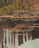 June Colour, A Tiny Lake Near Great Bear Lake N.W.T. by Francis Hans Johnston, Arca, Osa, Cspwc, oil on canvas laid on board, offered Nov 2011