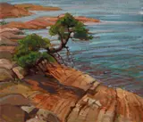 Doris Jean McCarthy, Rca, Osa, Cspwc, Oc, Baie Fine, oil on panel