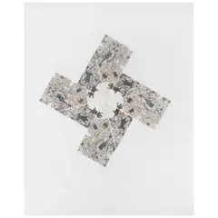 Iguana y rehilete, de la carpeta Toledo / Guchachi by Francisco Toledo, 1976, Grabado al aguafuerte y aguatinta XXX / L, sold Jan 2026
