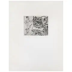 El gato araña by Francisco Toledo, Grabado al aguafuerte H. C, sold Jan 2026
