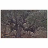 Nicolás Moreno, Untitled, 1979, Óleo sobre tela