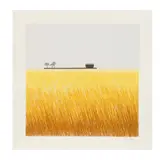 Enrique Cattaneo, La granja