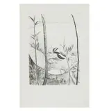 Vicente Gandía, Jardín, 2004, Grabado a la punta seca 2 / 50