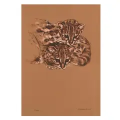 Patricio Robles Gil, Ocelotes, 1984, Serigrafia 67 / 100