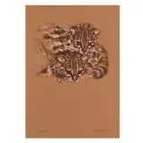 Patricio Robles Gil, Ocelotes, 1984, Serigrafia 67 / 100