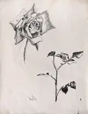 Untitled by Vicente Gandía, Tinta sobre papel, offered Jan 2025