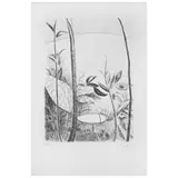 Vicente Gandía, Untitled, Grabado a la punta seca 34 / 50