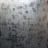 Makiko Nakamura, Untitled