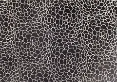 Calvin Klein, Untitled