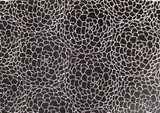 Calvin Klein, Untitled