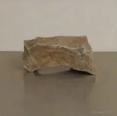 Comhghall Casey, Untitled