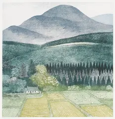 Anne M Anderson, Untitled