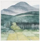Anne M Anderson, Untitled