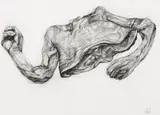 Sahoko Blake, Untitled