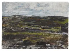 Aidan Crotty, Untitled
