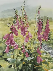 Anne McLeod, Untitled
