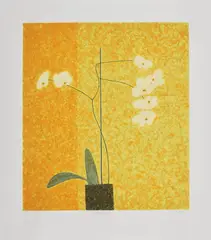 Abigail McLellan, Untitled