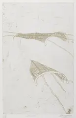 Aine O'Gara, Untitled