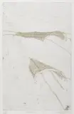 Aine O'Gara, Untitled